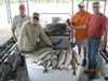 (05/08/2018) - Nice Striped Bass